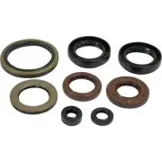 Vertex Engine Oil Seal Kit #822402 Arctic Cat