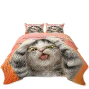 Funny Cats Cute Kitten Surprised Coverlet