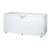 在飛比找PChome24h購物優惠-【SANLUX 台灣三洋】600L 上掀式-30℃低溫冷凍櫃