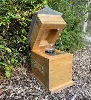 50mm Cypress Pine Varnish Rough Sawn Perspex Jar Stingless Native Bush Bee Hive