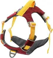 2022 New pet Supplies Explosion-Proof Dog's Straps Chest Strap Lifting Vest Dog Hand Holding Rope