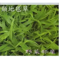 在飛比找蝦皮購物優惠-【萌田種子~草皮種子】U02 類地毯草草皮種子1公斤 , 適