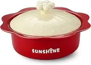 Soup Bowls with Handles Noodle Ramen Curry Bowl,Large Ceramic Ramen Bowl,Soup Bowl with Lid,Udon Noodle Bowl Microwave Safe,Pho Bowls-red-21.5x17.5x13cm,850ml(Color:Red)