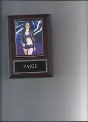 PAIGE PLAQUE WRESTLING WWE DIVA PWF GSW SCW HEW WAWW RDW