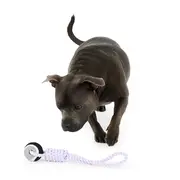 All Day Fetch Ball Rope Tug Dog Toy Purple