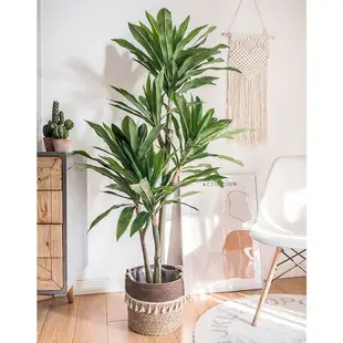 北歐ins仿真植物假花綠植盆栽擺件巴西鐵樹客廳室內落地大型裝飾