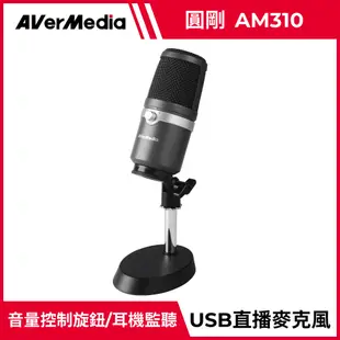 圓剛 AM310 黑鳩 高音質USB麥克風 直播.演唱專用