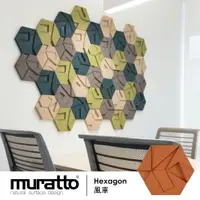 在飛比找樂天市場購物網優惠-Muratto 葡萄牙設計牆壁吸音防水造型有機軟木塊22片/