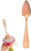 Grapefruit Spoon with Shredded Edge, Stainless Steel Spoon | Long Handle Desert Spoons, Kitchens GA Dget Tabware Utensils for Fruit, Ice Scoop or Drink