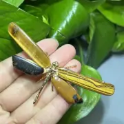Natural Tiger’s Eye Jasper Dragonfly skull Quartz Crystal Hand DIY Skull 1PC