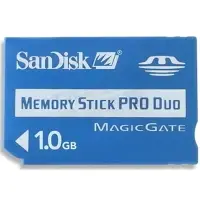 在飛比找露天拍賣優惠-【二手商品】SANDISK MEMORY STICK PRO