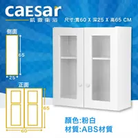 在飛比找蝦皮購物優惠-『洗樂適台南義林店』凱撒衛浴CAESAR Q1212 浴室儲