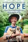 Niall Harbison Hope – How Street Dogs Taught Me the Meaning of Life (Paperback)
