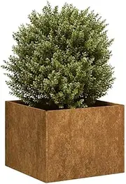 Raised Garden Bed, Elevated Planter Box Plant Container Rusty 40x40x30 cm Weathering Steel