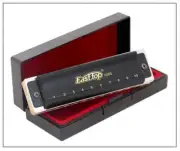 T008S 10 hole blues harmonica harp Richter harmonica with 12 key harmonica