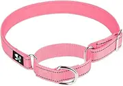 Pimaodog Adjustable Martingale Safety Training Dog Collars, Soft Neoprene Padded Breathable Nylon Pet Collar for Small Medium Large Dogs (M, Pink)