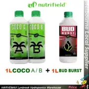 NUTRIFIELD Coco Part AB With NUTRIFIELD BUD BURST 1L