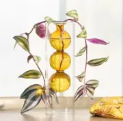 Sonoma Good Cylinder Glass Yellow Wine 10" Propagation Vase. New