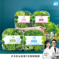 在飛比找momo購物網優惠-【NICE GREEn】美蔬菜盒6入免運組送6包沙拉醬(萵苣