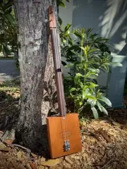 2 String Fretless Ramone Allones Acoustic Cigar Box Guitar