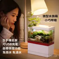 在飛比找蝦皮購物優惠-台灣優選 USB迷你魚缸 創意桌面魚缸 免換水水族箱 小型家