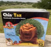 Chia Pet Looney Tunes TAZ Handmade Decorative Planter New Sealed TasmanianDevil