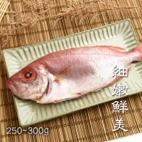 在飛比找台灣好農優惠-【澎湖珍鮮】澎湖紅目鰱(250~300g/尾)