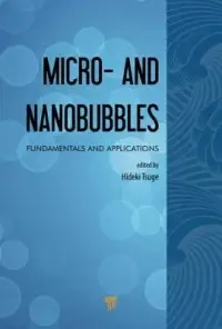 在飛比找博客來優惠-Micro- and Nanobubbles: Fundam