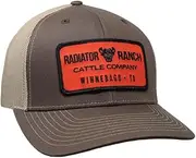 [Rodeo Time] Dale Brisby Radiator Ranch Patch Adjustable Snapback Hat