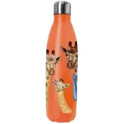 Double-Wall Insulated Stainless Steel Water Bottle 500/750 ML – Sports Flask