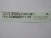 DM Custom Decals HO Elizabeth Georgetown & Western ~ TS