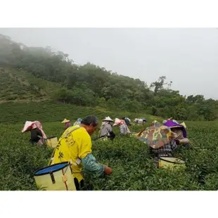 花東嚴選-東傑茶園-有機紅玉(台茶18號)75g 台東卑南茶區優質茶 伴手禮首選