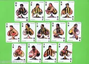 #D102. SPADE SUIT SET OF 1998 HAWTHORN HAWKS AFL PLAYING CARDS