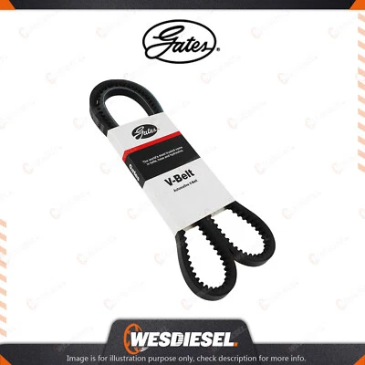 Gates Power Steering Pump V Belt fits Kia K2700 SD Pregio TB 2.7L 59KW 60KW 62KW (for: Kia)