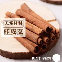 在飛比找momo購物網優惠-【2square shop】8入組 天然乾燥桂皮 桂皮支 肉