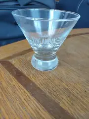 New Glass Finlandia Vodka Cocktail Glass