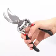 8" (200mm) Heavy-Duty Pruning Shears - Precision Garden Scissors for Grafting & Trimming