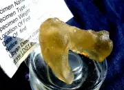 Libyan Desert Glass Meteorite Tektite impact specimen ( 240 crt)Angel Chime Gem