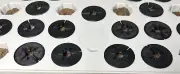 Flexible Aerogarden CLASSIC 6 Seed Starter Tray 30 Sponge Covers Keep Algae Down
