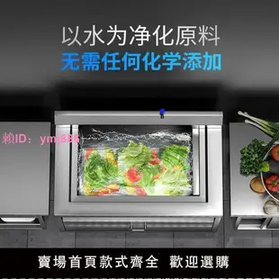 馳能水觸媒洗菜機殺菌果蔬清洗機水餐廳凈化機全自動嵌入式商用