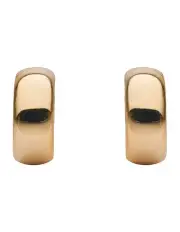 [Barcs] Classic Gold Hoop Earrings
