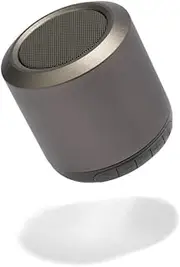 Iris Ohyama BTS-101-HGY Bluetooth 5.3 Speaker, Small, 2 Devices Simultaneous Pairing, 24 Hours Continuous Playback, USB, Wireless, Compact, Built-in Microphone, Bluetooth