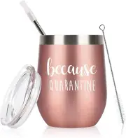 Because Quarantine Wine Tumbler, 12oz Stainless Steel Wine Tumbler with Lid