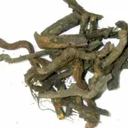 Horseshoe Vitex Root Whole Pure Indian Organic Herb Nergundi Root Whole 1kg