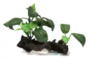 Aqua One Hermit Crab Plant on Wood Ornament 10.6x7.8x8cm (36328)