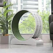 Cat Exercise Wheel for Indoor Cats,31.5 in Diameter with Locking Mechanism, Ultra-Quiet, Promotes Healthy Exercise, for Cat's Fitness and Health Gray