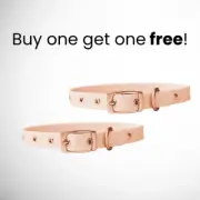 SMALL Waterproof Diggs Dog Collars Rose PINK New w/ tags cats and dogs