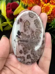 Natural Big Oval Cut Coffee Bean Jasper Amazing Jasper For Jewelry Making.