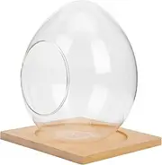 HAKIDZEL 1 Set Delicate Glass Micro Landscape Bottle DIY Hydroponic Terrarium for Creative Decoration Plant Display Storage Container Egg Shaped Design with Base