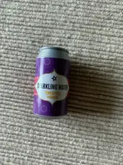 American Girl can of pineapple mango sparkling water soda pop for 18" doll NEW